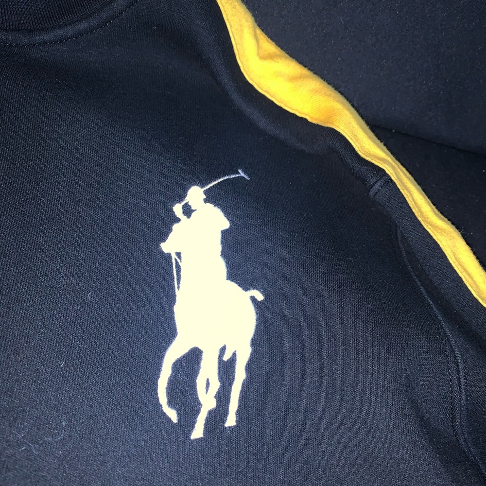 Ralph Lauren polo sweater